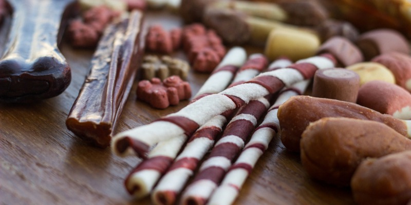 Are You Feeding Your Dog Healthy Dog Treats? 3 Things to Look For. 